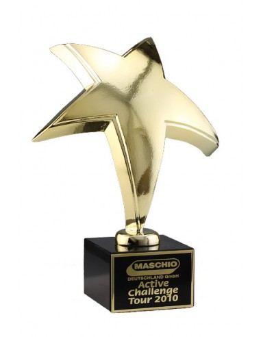 Stern  Award
