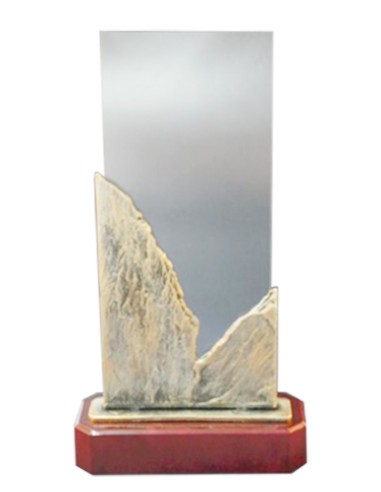 Award 8