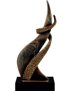 Award 4