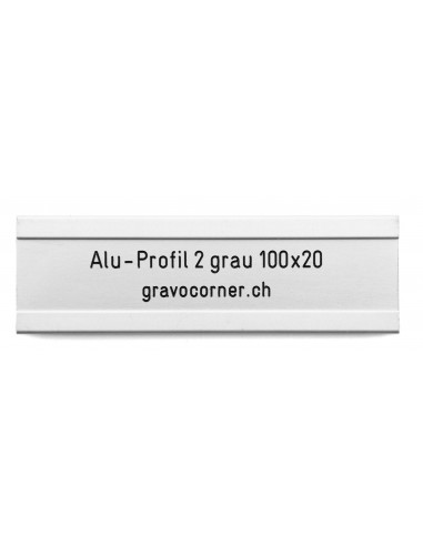 Einlageschild zu Alu-Profil 2 100x20 mm